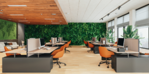 biophilic design