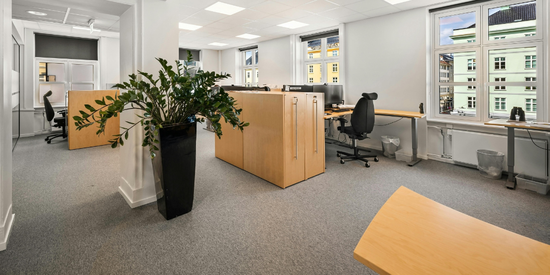 Proactive Carpet Care: 10 Tips for Facility Managers