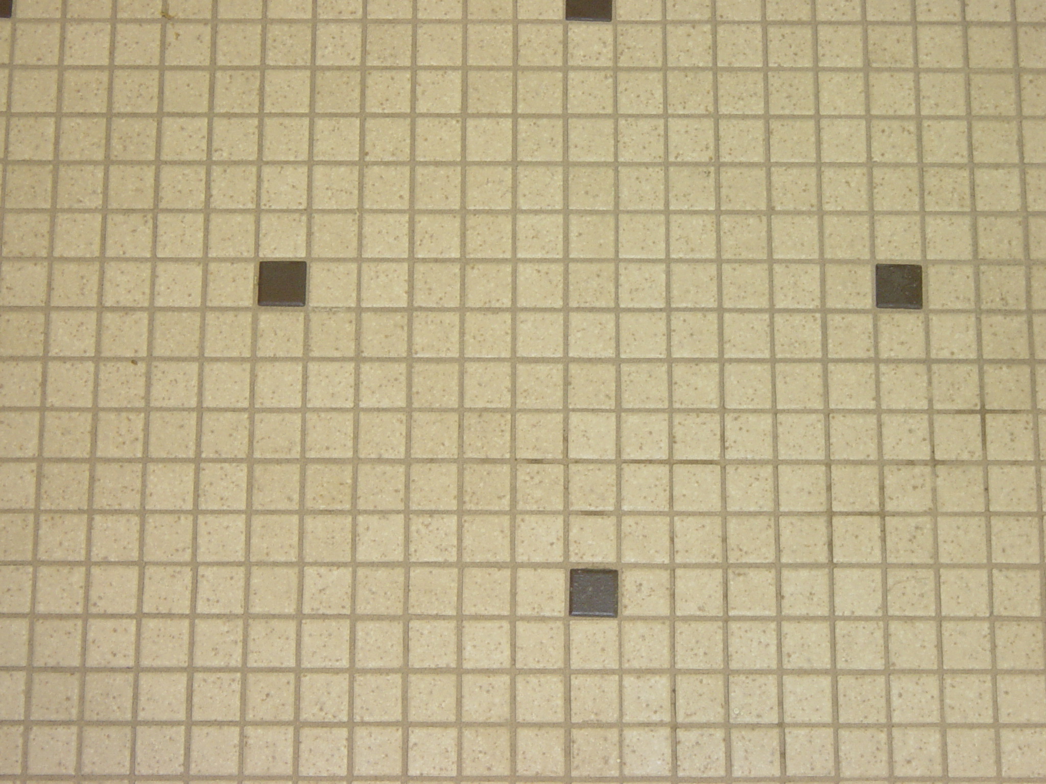 A close up of a cleaned tiles and grout. After tile and grout cleaning. DPM Surface Care