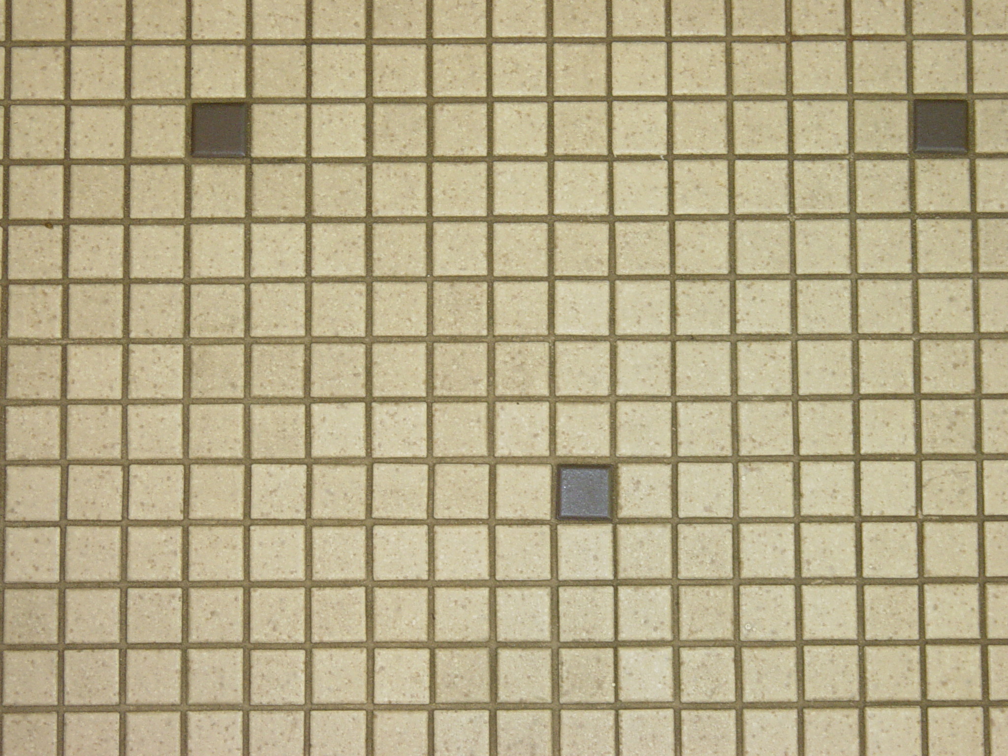 A close up of a dirty tiles and grout. Before tile and grout cleaning. DPM Surface Care