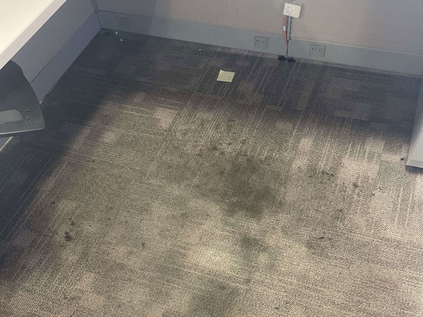 dpm-surface-care-carpet-before A dirty carpet in a commercial office cubicle. DPM Surface Care - carpet and upholstery cleaning