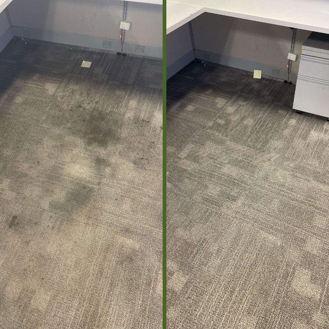 dpm-surface-care-surface-renewal-before-after-carpet-img